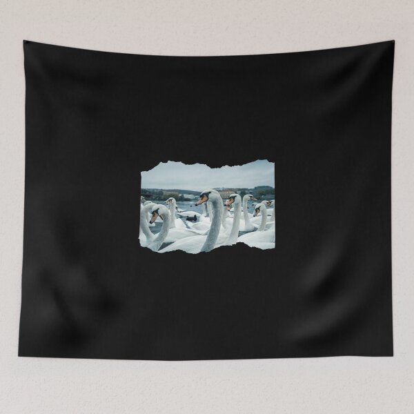 Item preview, Abbotsbury Swannery designed and sold by mewsis.