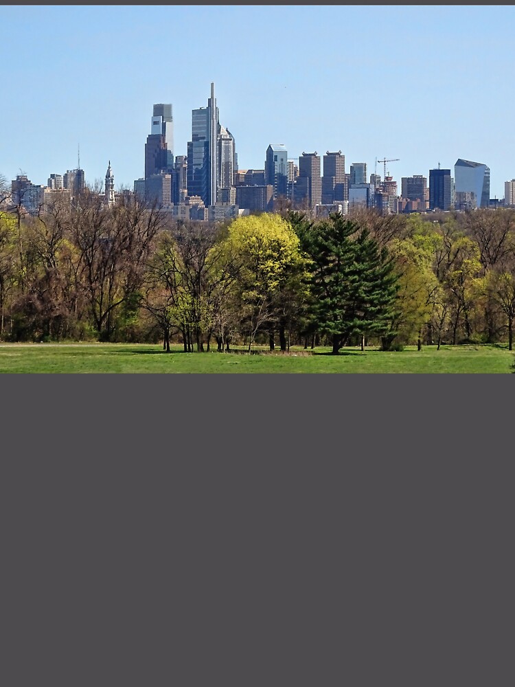 Thumbnail 6 of 6, Premium Oversized Sweatshirt, Philadelphia In The Spring designed and sold by Lynney.