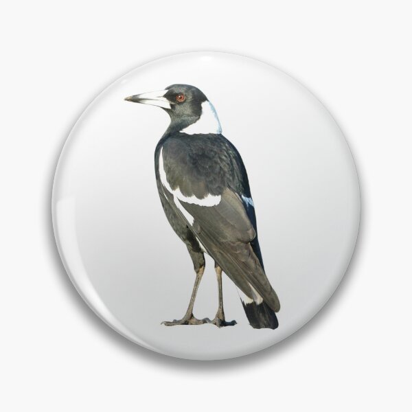 Item preview, MAGPIE - Australian Magpie Bird Portrait Aussie Wildlife HD Magpie designed and sold by Go Logo Designs.