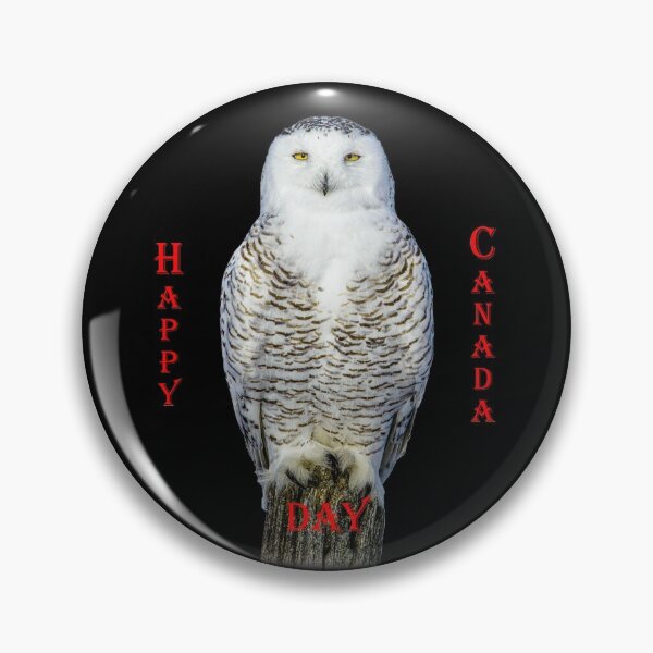 Item preview,   Canadian Snowy Owl designed and sold by david parry.