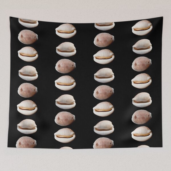 Item preview, Arctic Cowrie - Beautiful Shells designed and sold by John Dewar.
