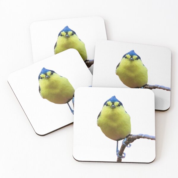 Item preview, White eye shape: The full length of an adult bird is about 10 to 11 cm, and the standing height is about 3 to 4 cm designed and sold by zenger2021.