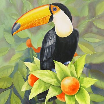Artwork thumbnail, Toucan by Jackie Harland