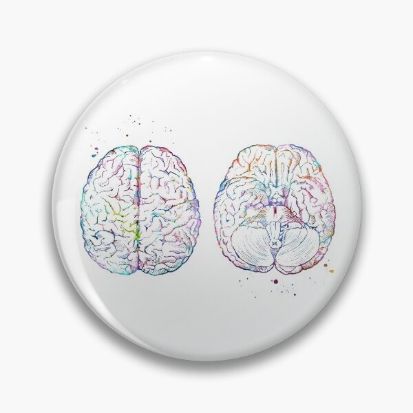 Item preview, Brain Anatomy Superior and Inferior View designed and sold by EvasDreams.