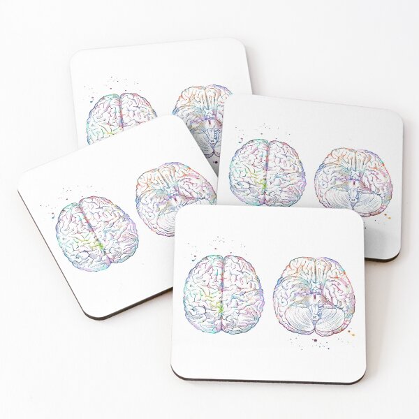 Item preview, Brain Anatomy Superior and Inferior View designed and sold by EvasDreams.