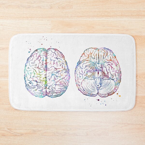 Item preview, Brain Anatomy Superior and Inferior View designed and sold by EvasDreams.