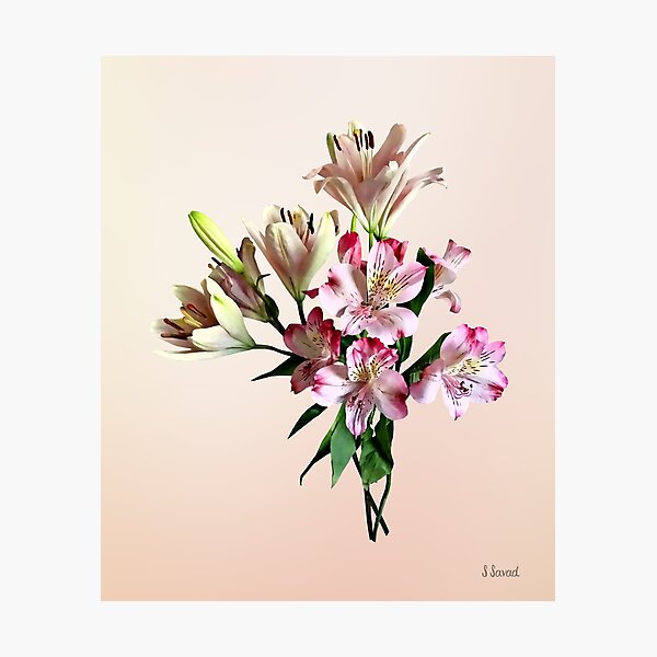 Two Varieties of Pink Lilies Photographic Print