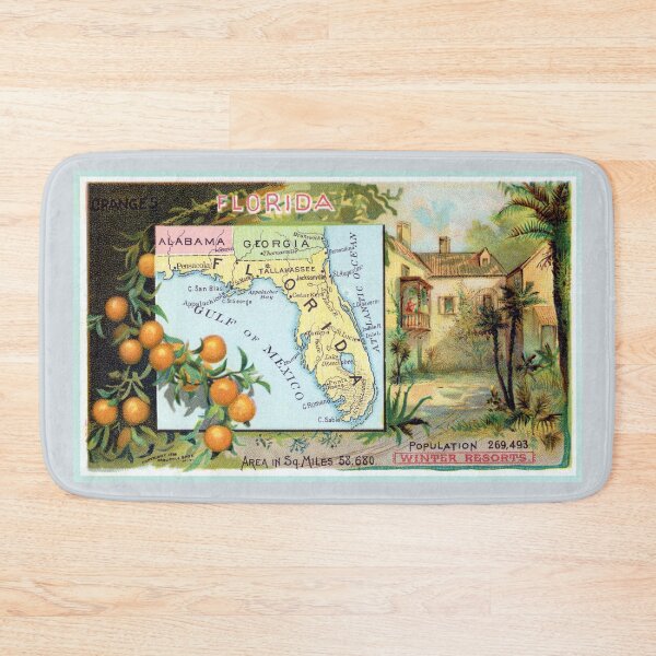 Item preview, 1889 The State of Florida designed and sold by historicimage.