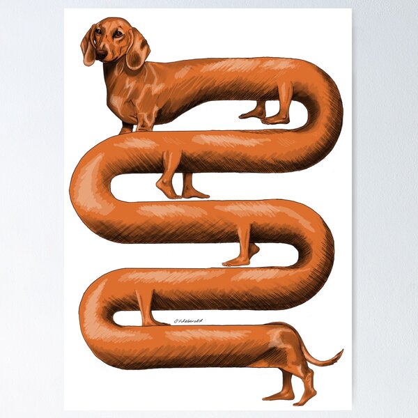 Susej Posters for Sale | Redbubble