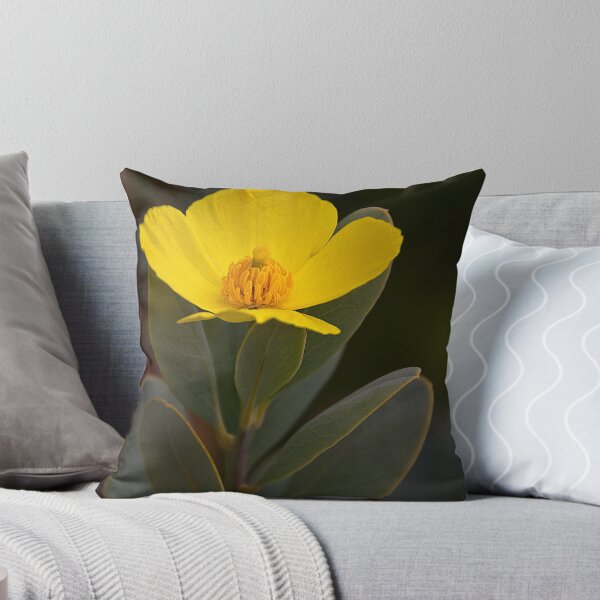 Item preview, Bush poppy- Santa Cruz arboretum designed and sold by David Chesluk.