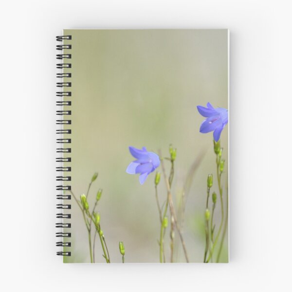 Item preview, Harebell Trio designed and sold by Heather Pickard.
