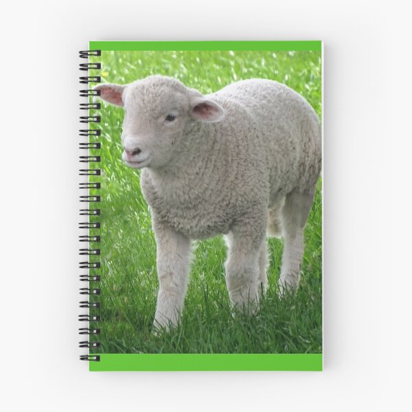 Item preview, Little Lamb designed and sold by Lynney.