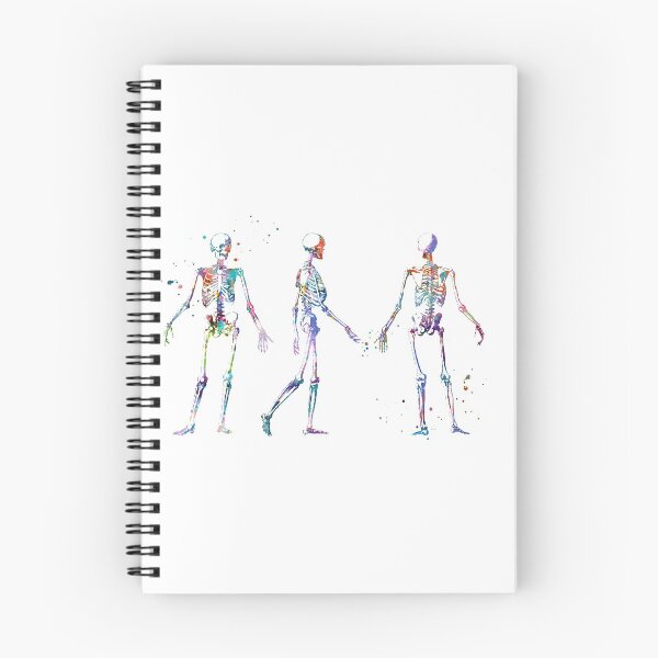 Item preview, Skeleton Anatomy Pose Front Side and Back View designed and sold by EvasDreams.