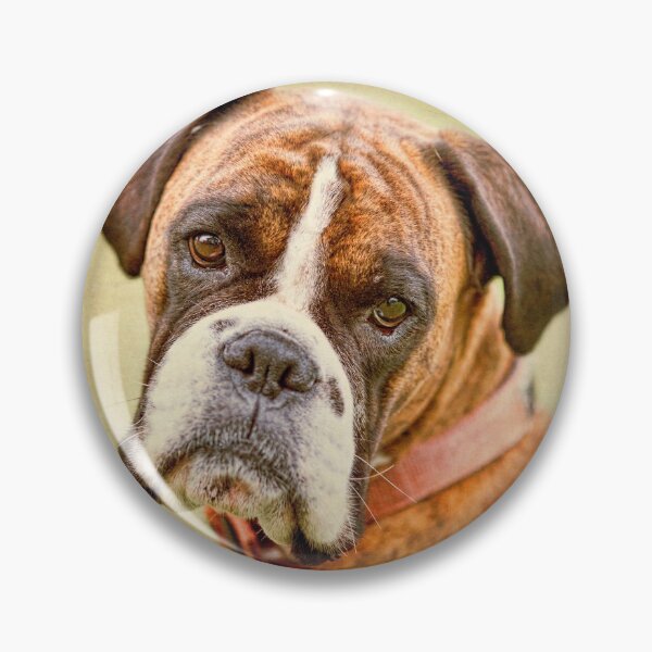 Item preview, Boxer Dog - Cute Butch Dog designed and sold by John Dewar.