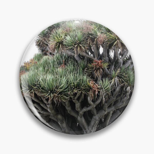 Item preview, Amazing Coronado Island Tree designed and sold by heatherfriedman.