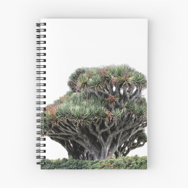 Item preview, Amazing Coronado Island Tree designed and sold by heatherfriedman.