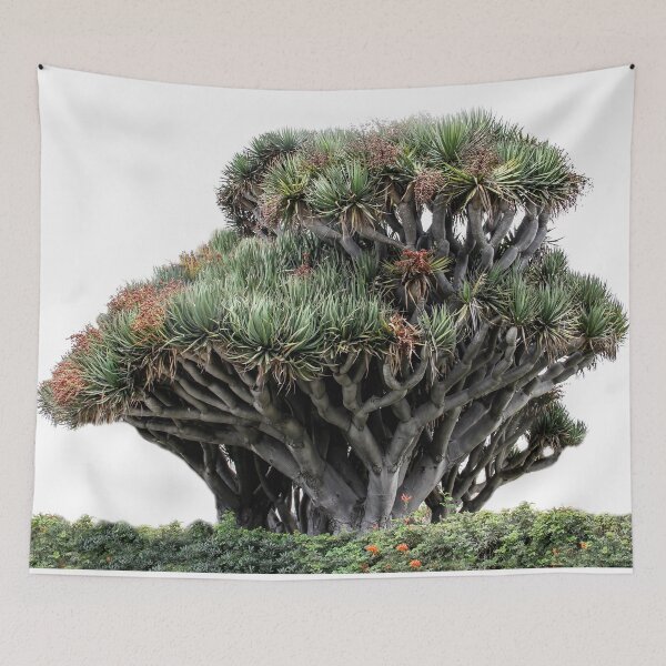 Item preview, Amazing Coronado Island Tree designed and sold by heatherfriedman.
