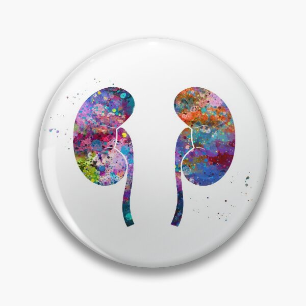 Item preview, Kidneys Anatomy designed and sold by EvasDreams.