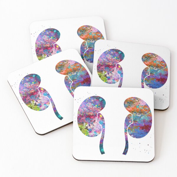 Item preview, Kidneys Anatomy designed and sold by EvasDreams.