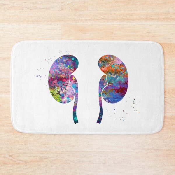 Item preview, Kidneys Anatomy designed and sold by EvasDreams.