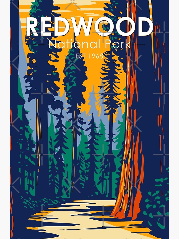 Discover Redwood National Park California Vintage Premium Matte Vertical Poster