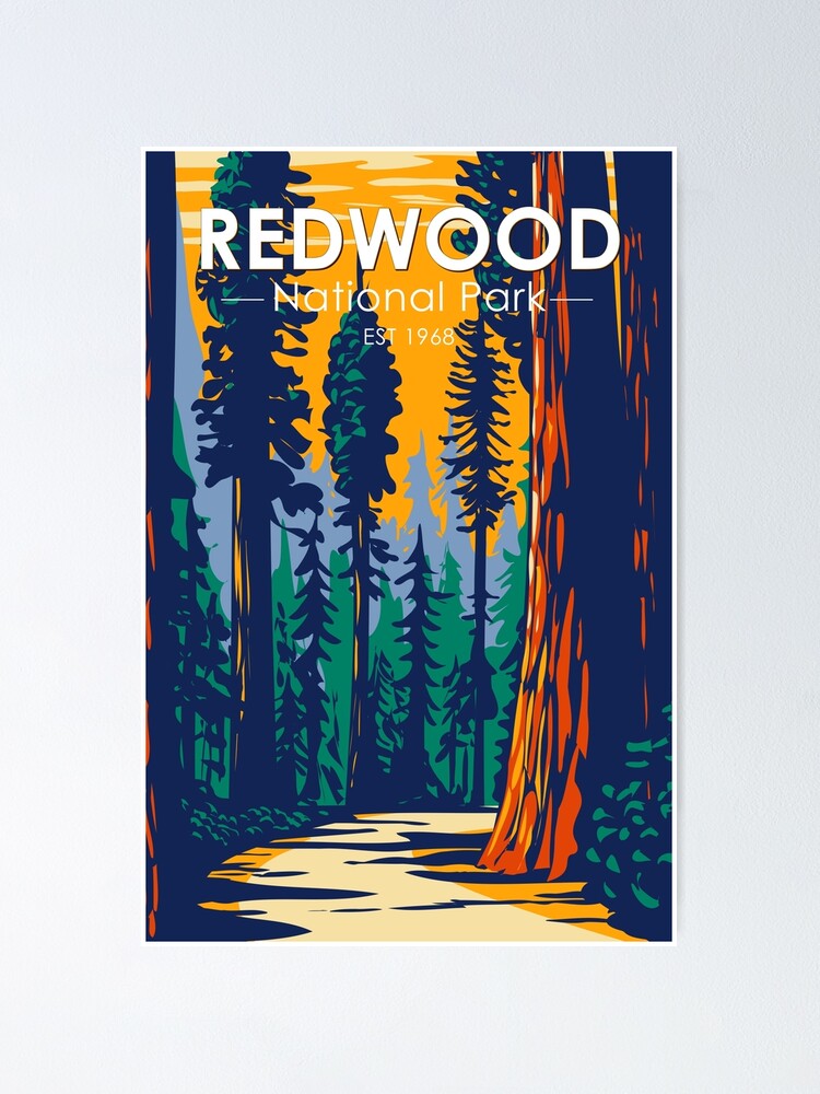 A3-antica foresta di alberi Redwood POSTER 42X29.7cm280gsm #13072 