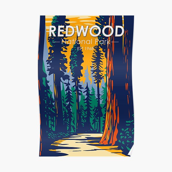 Redwood National Park California Vintage Poster
