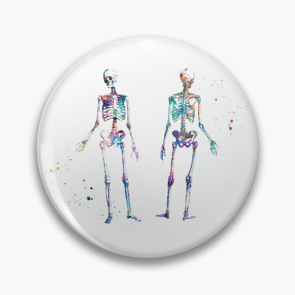 Item preview, Posing Skeleton Anatomy Front and Back View designed and sold by EvasDreams.