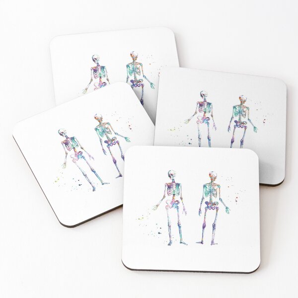 Item preview, Posing Skeleton Anatomy Front and Back View designed and sold by EvasDreams.