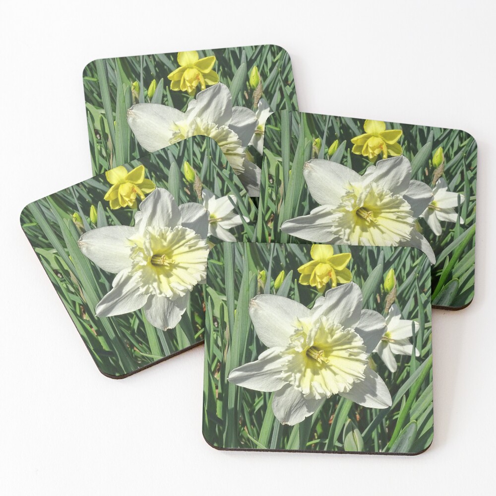 Item preview, Coasters (Set of 4) designed and sold by Lynney.