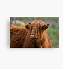 Boris Canvas Print