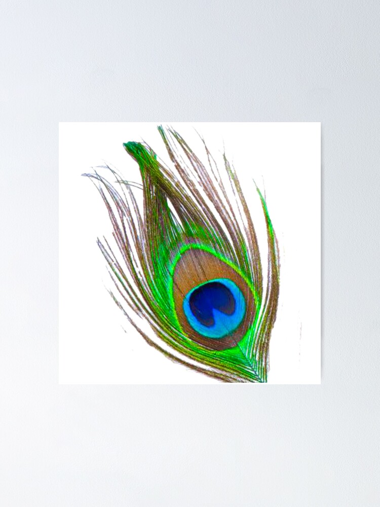 Peacock Feather LOVE Postage Stamps - Natural