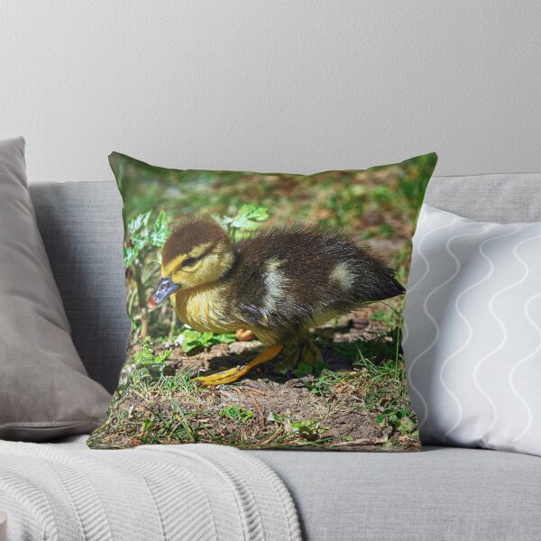 Item preview, Lonely Duckling designed and sold by NunoPires.