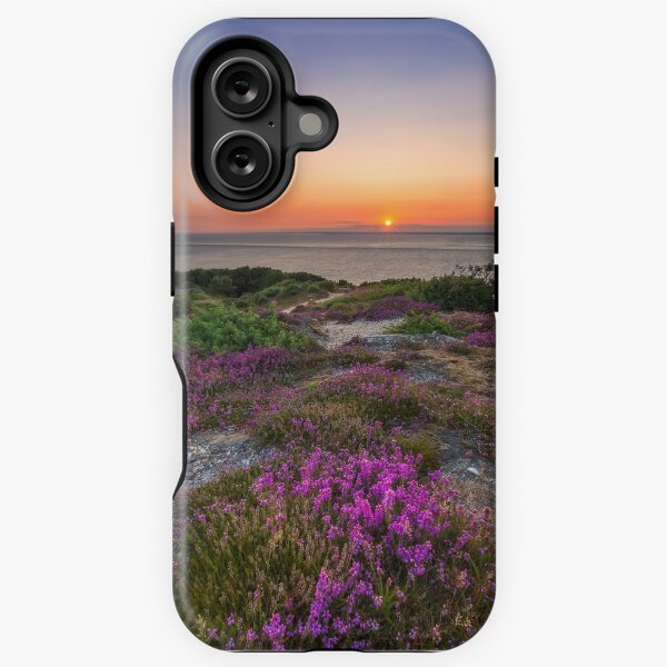 Aperçu de l'œuvre Purple Heather Sunset créée et vendue par manateevoyager.