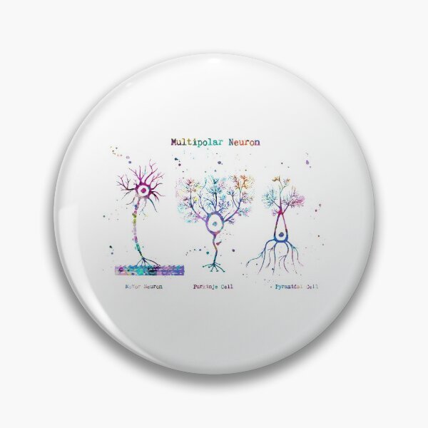 Item preview, Multipolar Neuron Types Anatomy designed and sold by EvasDreams.