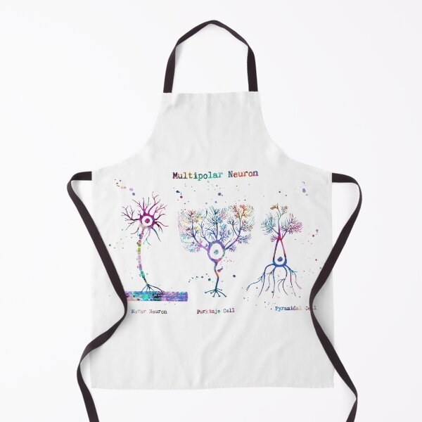Item preview, Multipolar Neuron Types Anatomy designed and sold by EvasDreams.