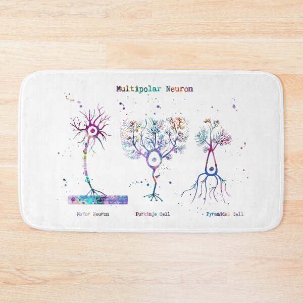 Item preview, Multipolar Neuron Types Anatomy designed and sold by EvasDreams.
