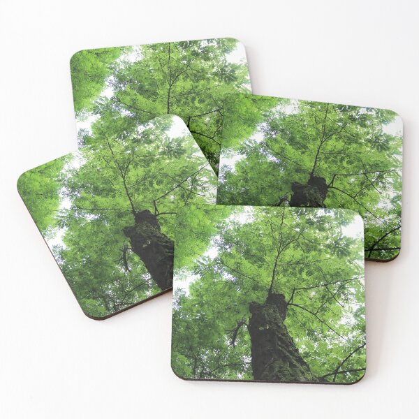 Item preview, Summer Green Tree Photography designed and sold by hvasilevshop.