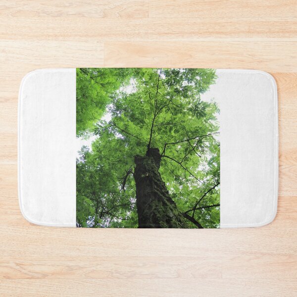 Item preview, Summer Green Tree Photography designed and sold by hvasilevshop.