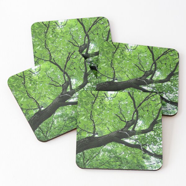 Item preview, Summer Green Tree Photography designed and sold by hvasilevshop.