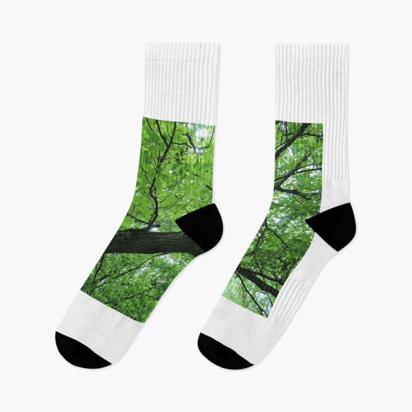 Item preview, Summer Green Tree Photography designed and sold by hvasilevshop.