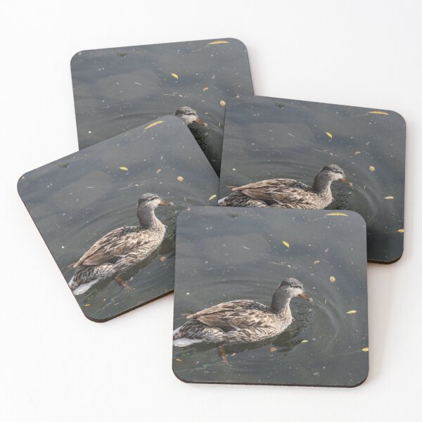 Item preview, Wild Duck Photography designed and sold by hvasilevshop.