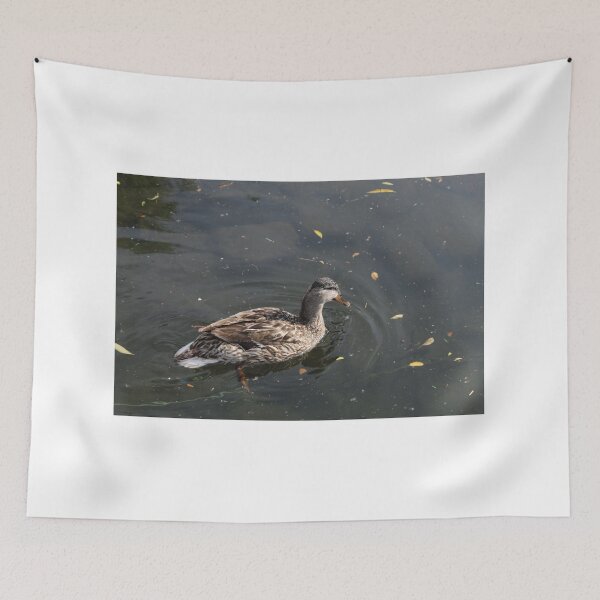 Item preview, Wild Duck Photography designed and sold by hvasilevshop.