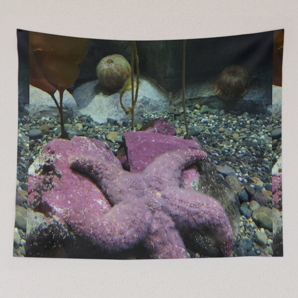 Item preview, Purple Starfish designed and sold by Djjin66.