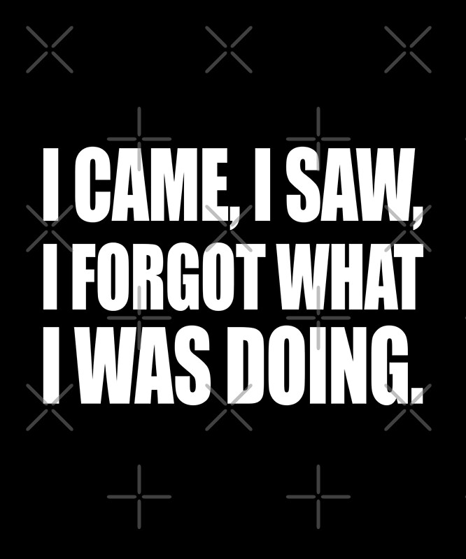 "I came, I saw, I forgot what I was doing." by CarrieTDesigns | Redbubble