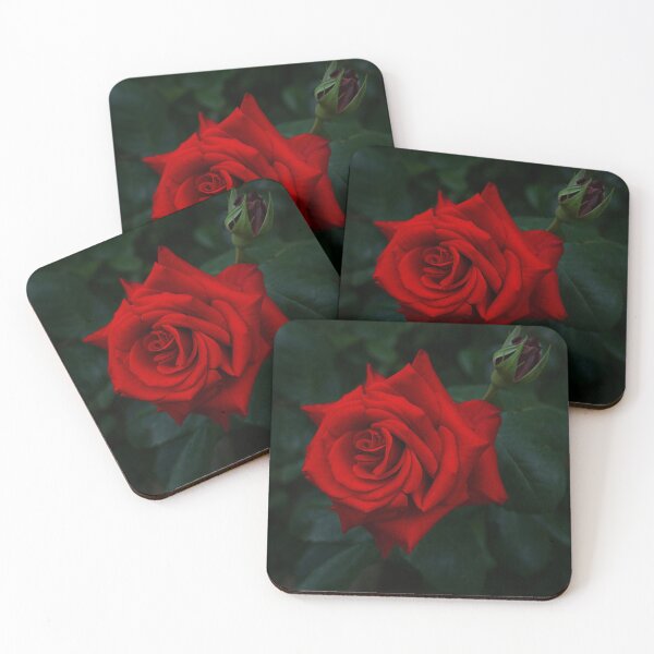 Item preview, Beautiful Tango Red Rose Flower designed and sold by ALEX PHOTO DREAMS.