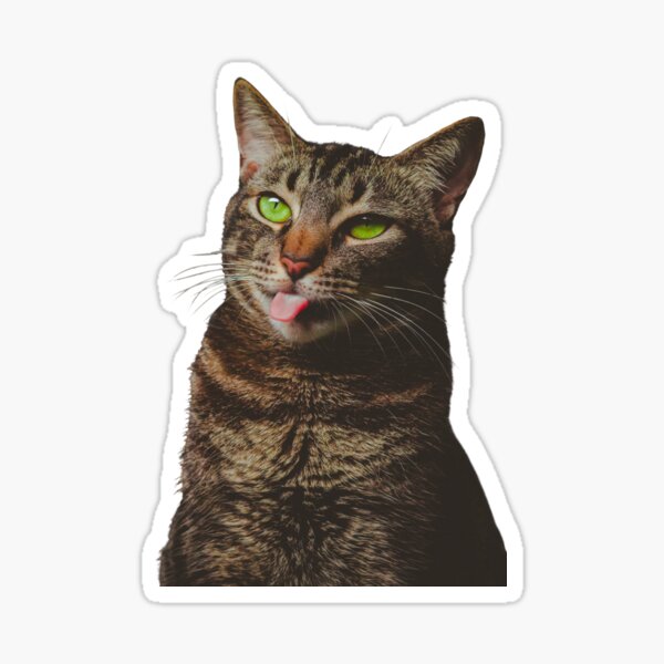 Cute Tabby Cat with Tongue Sticking Out Sticker