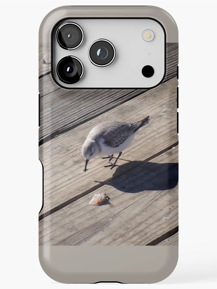 Thumbnail 1 of 4, iPhone Case, Sanderling designed and sold by TC-Has-Riddles.