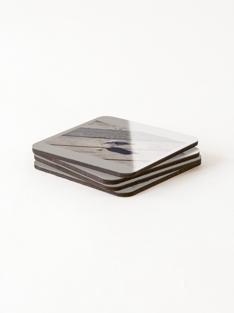 Thumbnail 4 of 5, Coasters (Set of 4), Sanderling designed and sold by TC-Has-Riddles.