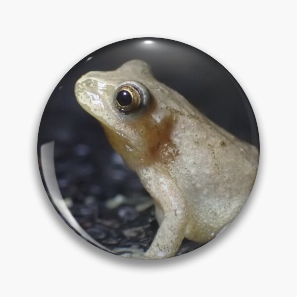 Item preview, Mr. Mackelroy the Spring Peeper designed and sold by TC-Has-Riddles.